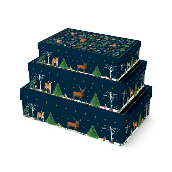 Eurowrap Gift Box 3pc Navy Woodland