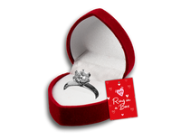 Gem Imports 24 Pack Ring In a Box (Assorted Sizes)