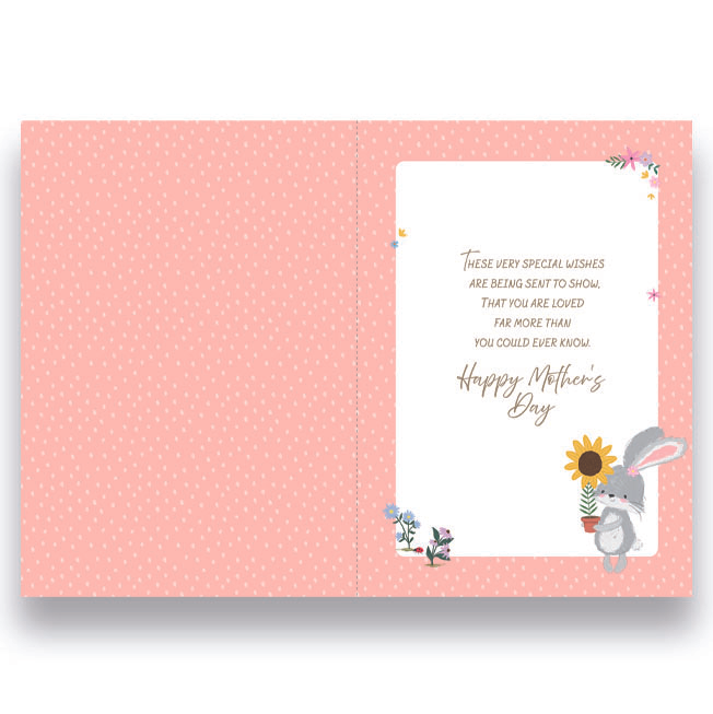 Prelude 6 Pack Cards C90 Mother's Day Mam