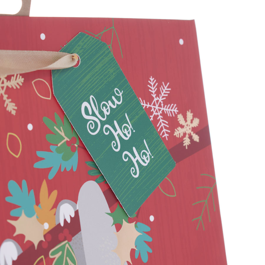 Tiger Feet Gift Bag Character Giant Port