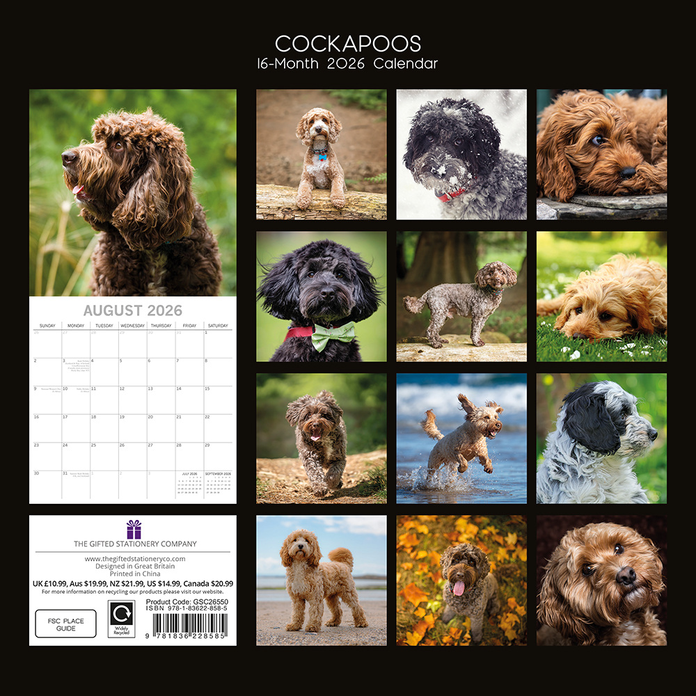 Gifted Stationery Calendar Cockapoos 2027