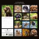 Gifted Stationery Calendar Cockapoos 2027