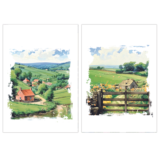 Poppyhill 12 Pack Cards C50 Birthday Blank