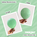 Kalisan Macaron Green 24" Latex Balloons 2pk