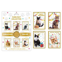 Set of 72 Poppyhill Assorted Birthday Cards in flatbox, featuring colorful designs for various birthday greetings.