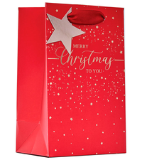 Partisan 6 Pack Gift Bag Merry Xmas Small