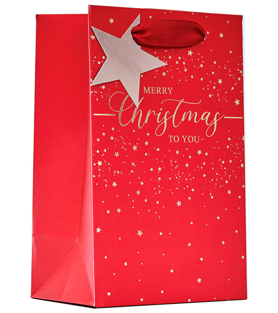 Partisan 6 Pack Gift Bag Merry Xmas Small