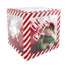 Balloon Box Elf Delivery 30x30cm (Inc 3 Stickers)