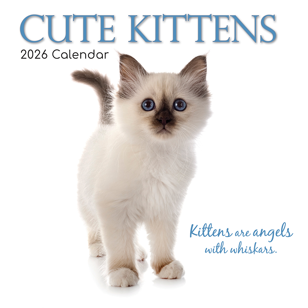 Gifted Stationery Calendar Cats & Kittens 2027
