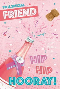 BGC C75 Birthday Friend 6pk