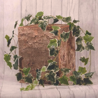 English Ivy Variegated Leaves Garland 180cm