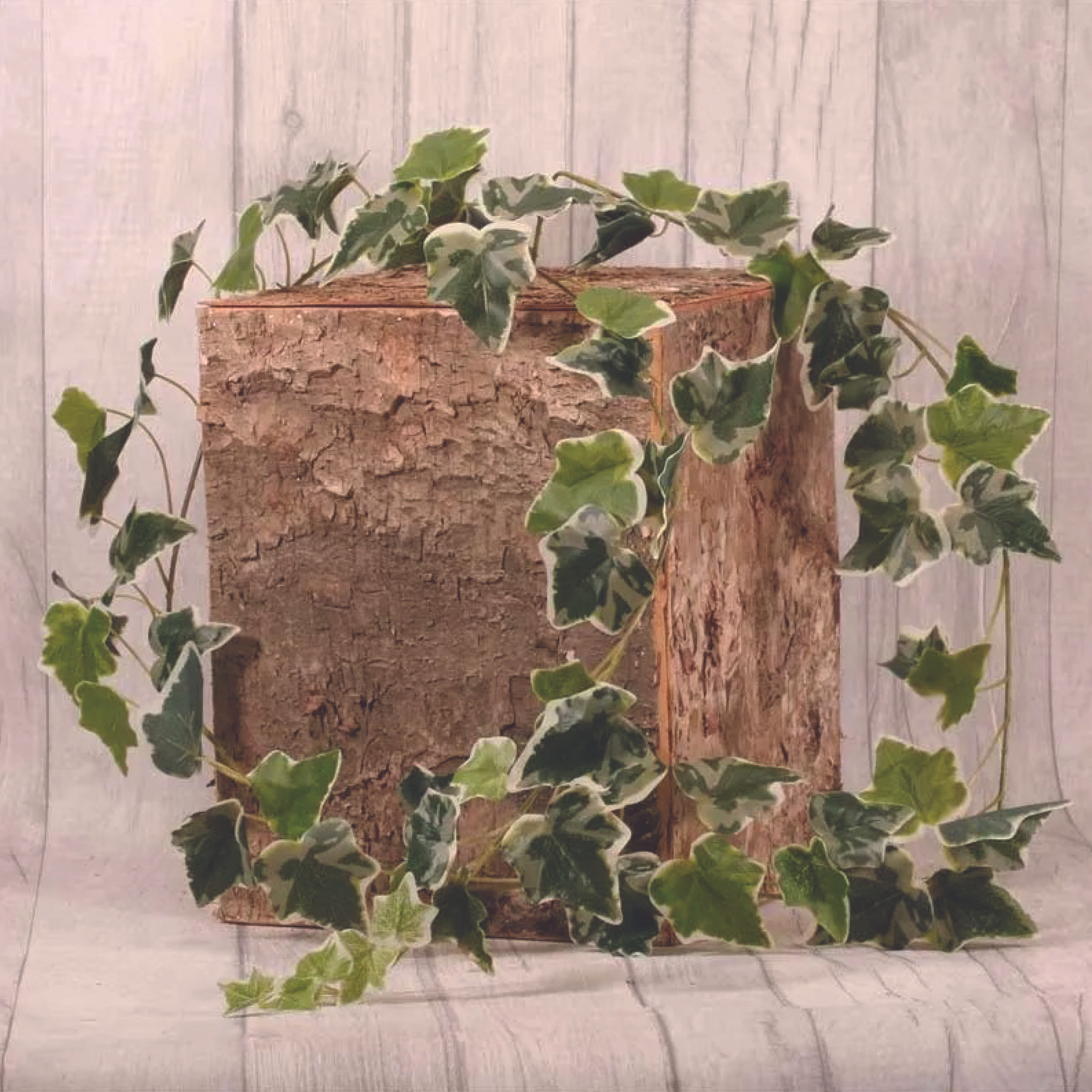 English Ivy Variegated Leaves Garland 180cm