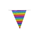 Metallic Rainbow Bunting 11 Flags 3.9m