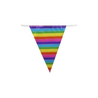 Metallic Rainbow Bunting 11 Flags 3.9m