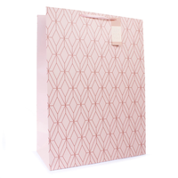 Tiger Feet 6 Pack Gift Bag Rose Gold Geo Large
