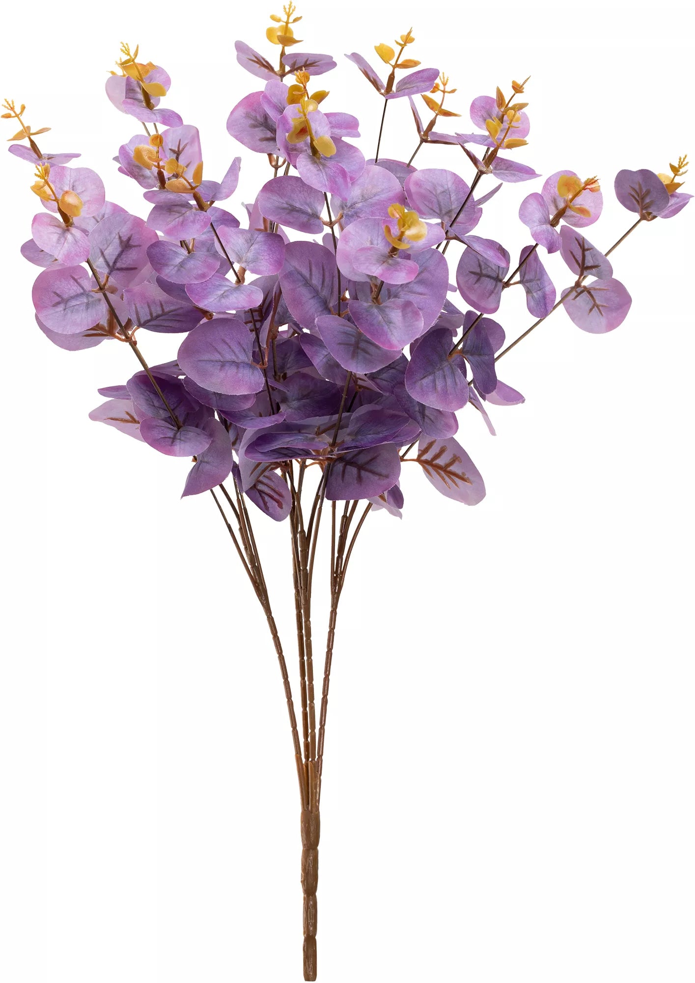 Eleganza Eucalyptus Bush Purple (16 Heads)