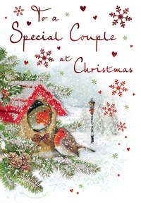 Regal 6 Pack C75 Cards Christmas Special Couple