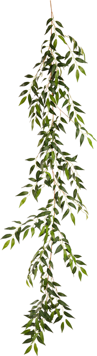 Eleganza Ruscus Garland Green 6'