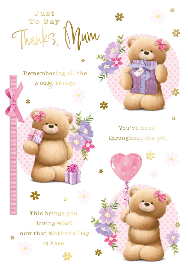 Prelude C90 Mother's Day Mum 6pk