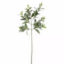 Bay Leaf Spray