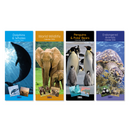 Tallon Tallon 24-pack calendar featuring wild animals, super slim design, with colorful images of wildlife for each month.