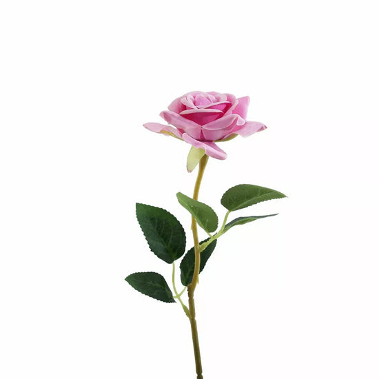 Rose Lavender