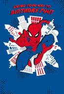 Hallmark 12 Pack Cards C32 Birthday Spider-Man