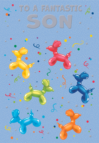 Poppyhill C50 Birthday Son 12pk