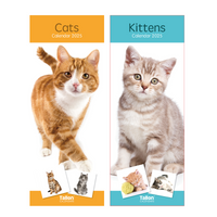 Calendar Super Slim Cats & Kittens 2027 24pk