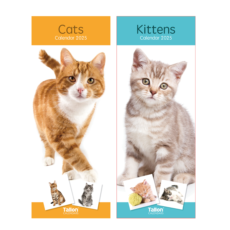 Calendar Super Slim Cats & Kittens 2027 24pk