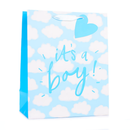 Tiger Feet 6 Pack Gift Bag It's A Boy Large