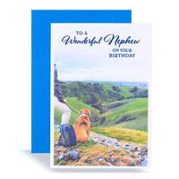 Kingsley C50 Birthday Nephew 6pk