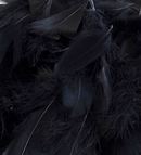 Eleganza Black Mixed Feathers 50g