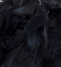 Eleganza Black Mixed Feathers 50g