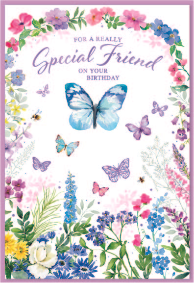 Simon Elvin C50 Birthday Special Friend 6pk