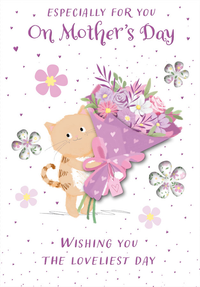 Prelude C50 Mother's Day Open Cat 6pk