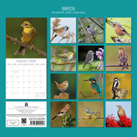 Gifted Stationery Calendar Birds 2027