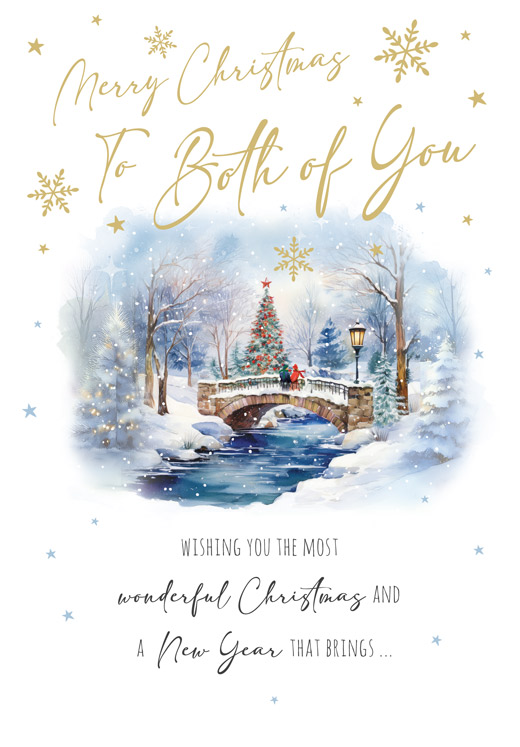 Regal 6 Pack C75 Cards Christmas Both Of You