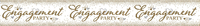 Tiger Feet 6 Pack Banner Engagement 2.6M