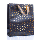 Tiger Feet 6 Pack Gift Bag Bags Stars Bottle