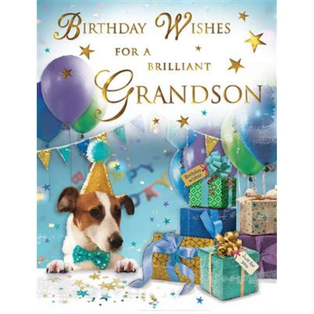 Regal 6 Pack Cards C50 Everyday Birthday Grandson