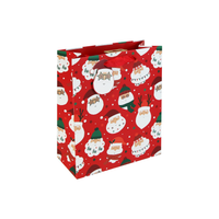 Eurowrap 12 Pack Gift Bag Cool Santa Medium