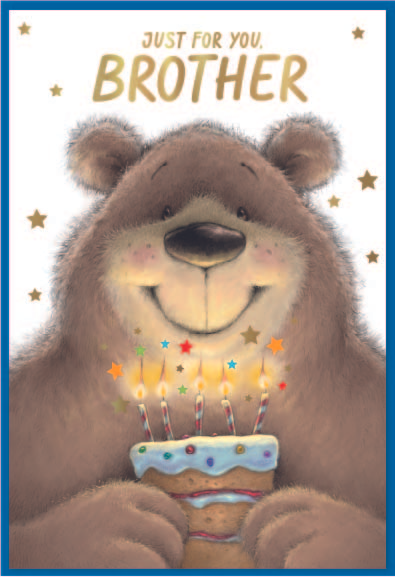 Simon Elvin 6 Pack Cards C50 Birthday Brother