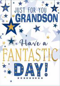 Simon Elvin C50 Birthday Grandson 6pk