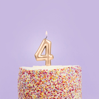 Hootybaloo Party Candle Number 4 Metallic Gold