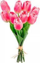 Eleganza Tulip Bunch Pink (9 Heads)