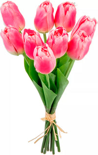 Eleganza Tulip Bunch Pink (9 Heads)