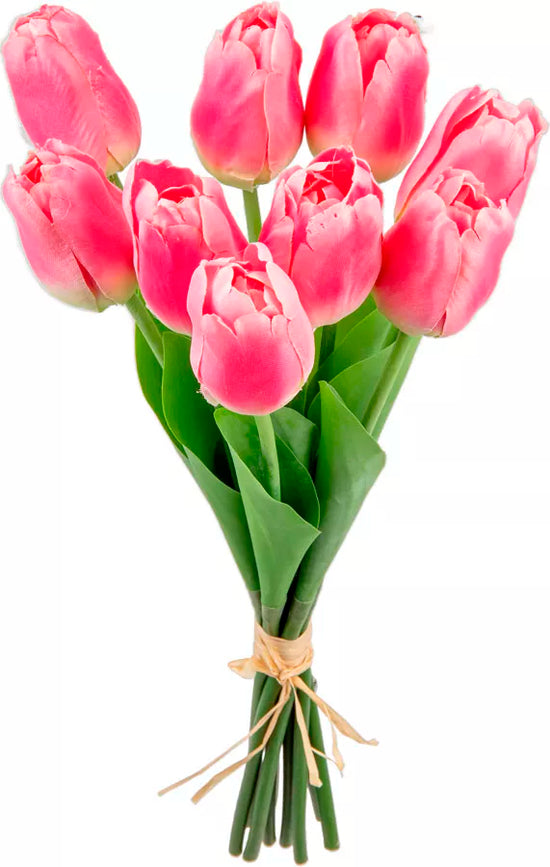 Eleganza Tulip Bunch Pink (9 Heads)