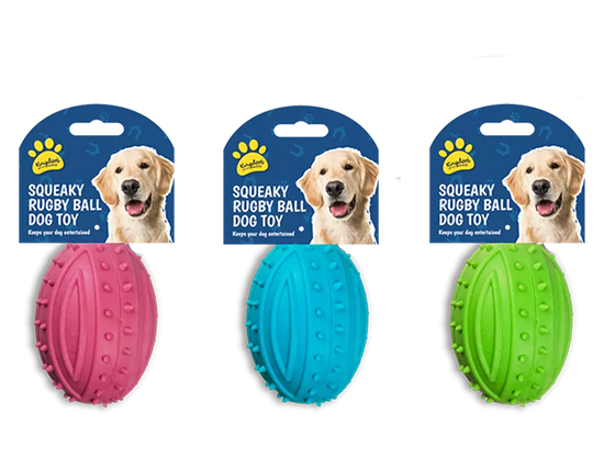 Squeaky Rugby Ball Dog Toy (Colour May Vary)