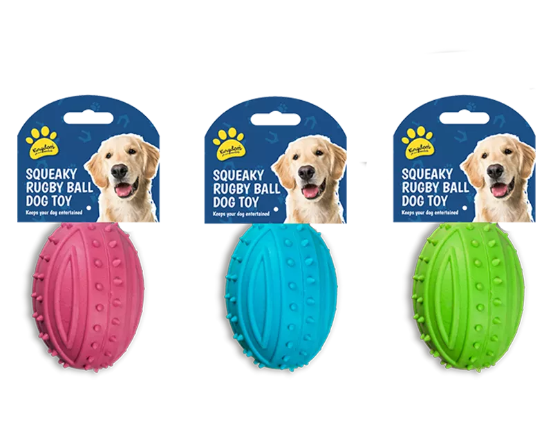 Squeaky Rugby Ball Dog Toy (Colour May Vary)
